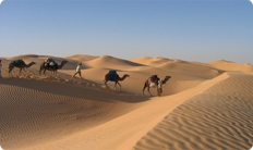 Circuits Excursions Randonnes Raids Sahara Douz